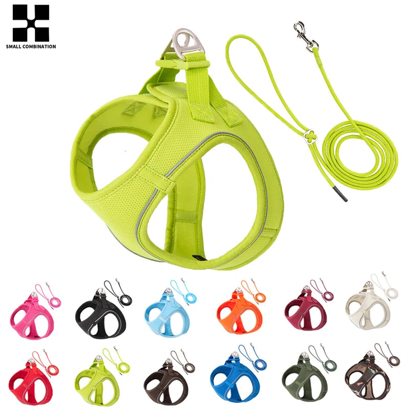 Dog Harness and Leash Set – Adjustable Reflective Pet Vest for Small & Medium Dogs, Puppies and Cats – Comfortable No-Pull Harness for Outdoor Walking (Chihuahua, Yorkie, French Bulldog)