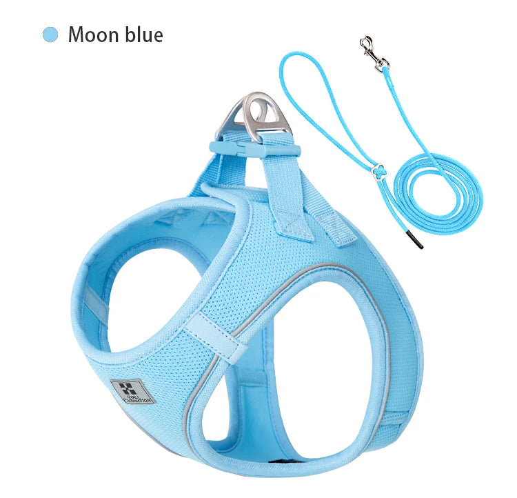Dog Harness and Leash Set – Adjustable Reflective Pet Vest for Small & Medium Dogs, Puppies and Cats – Comfortable No-Pull Harness for Outdoor Walking (Chihuahua, Yorkie, French Bulldog)