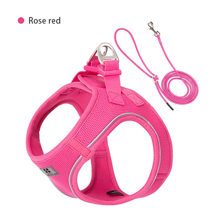 Dog Harness and Leash Set – Adjustable Reflective Pet Vest for Small & Medium Dogs, Puppies and Cats – Comfortable No-Pull Harness for Outdoor Walking (Chihuahua, Yorkie, French Bulldog)