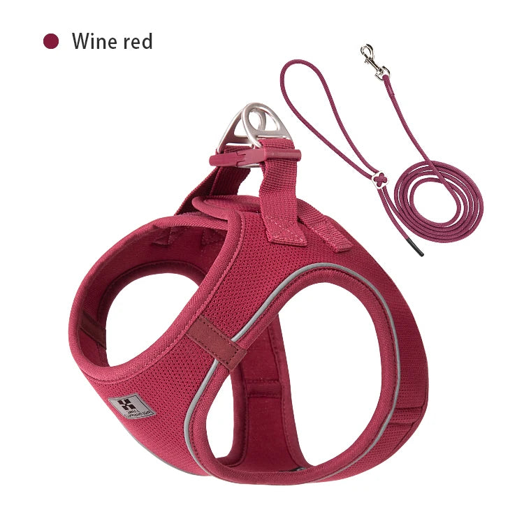 Dog Harness and Leash Set – Adjustable Reflective Pet Vest for Small & Medium Dogs, Puppies and Cats – Comfortable No-Pull Harness for Outdoor Walking (Chihuahua, Yorkie, French Bulldog)