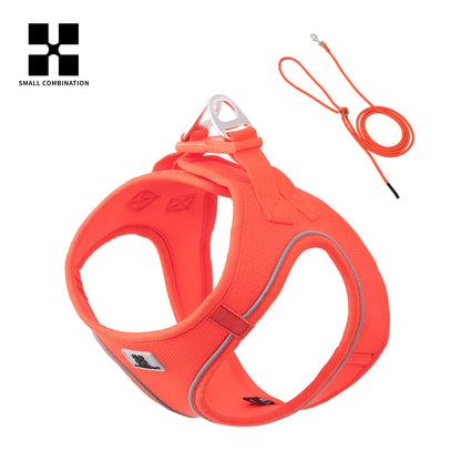 Dog Harness and Leash Set – Adjustable Reflective Pet Vest for Small & Medium Dogs, Puppies and Cats – Comfortable No-Pull Harness for Outdoor Walking (Chihuahua, Yorkie, French Bulldog)