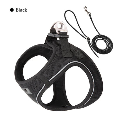 Dog Harness and Leash Set – Adjustable Reflective Pet Vest for Small & Medium Dogs, Puppies and Cats – Comfortable No-Pull Harness for Outdoor Walking (Chihuahua, Yorkie, French Bulldog)